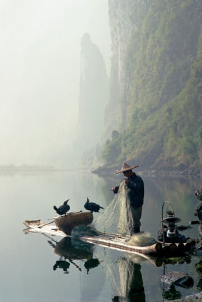 Cormorant Fishing Li River